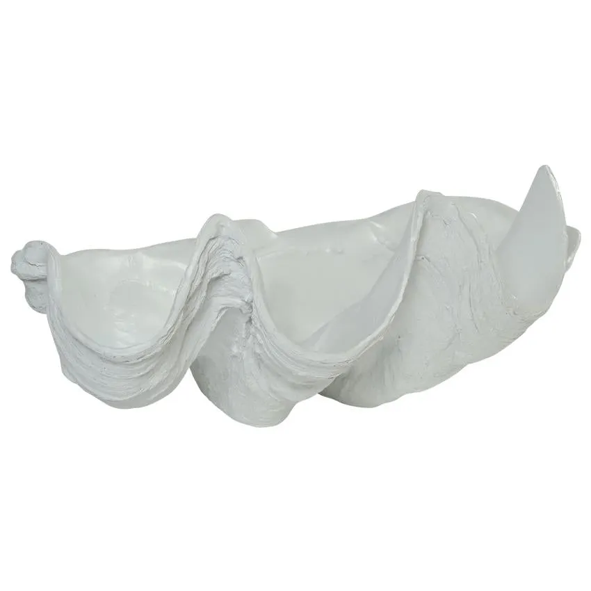 Clam Shell Decor Small 41cm