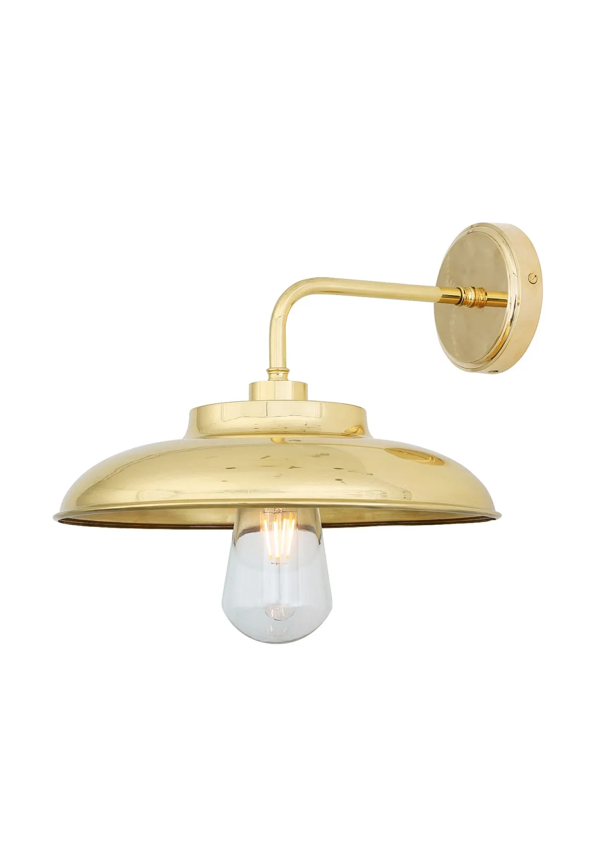 Darya Brass Outdoor Wall Light