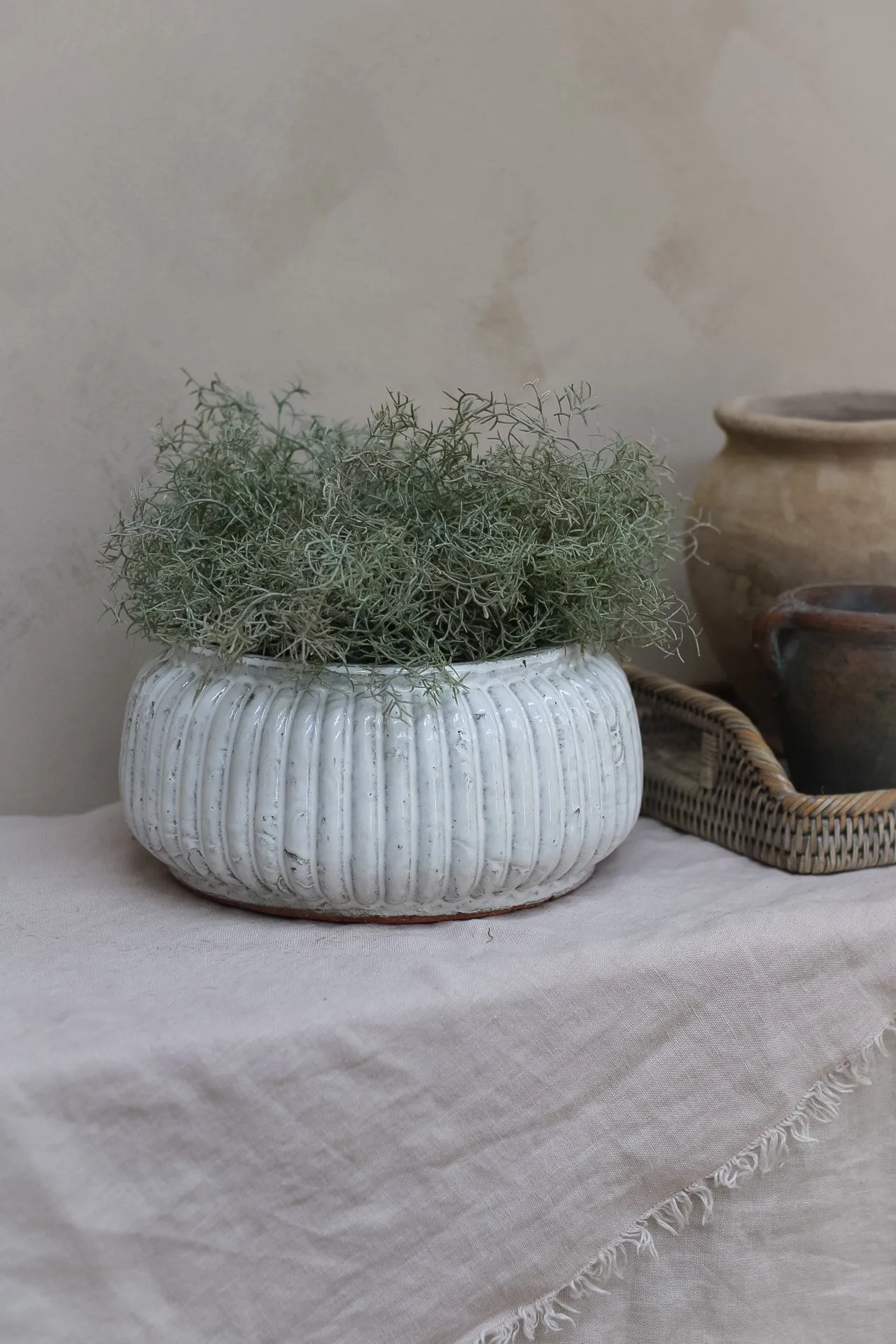 Distressed Cream Ribbed Planter