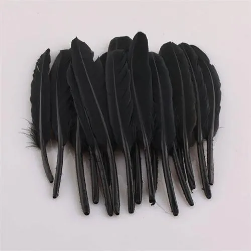 Duck Feather Decorative, 6-inch, 50-count