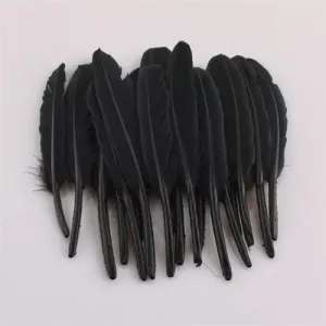 Duck Feather Decorative, 6-inch, 50-count