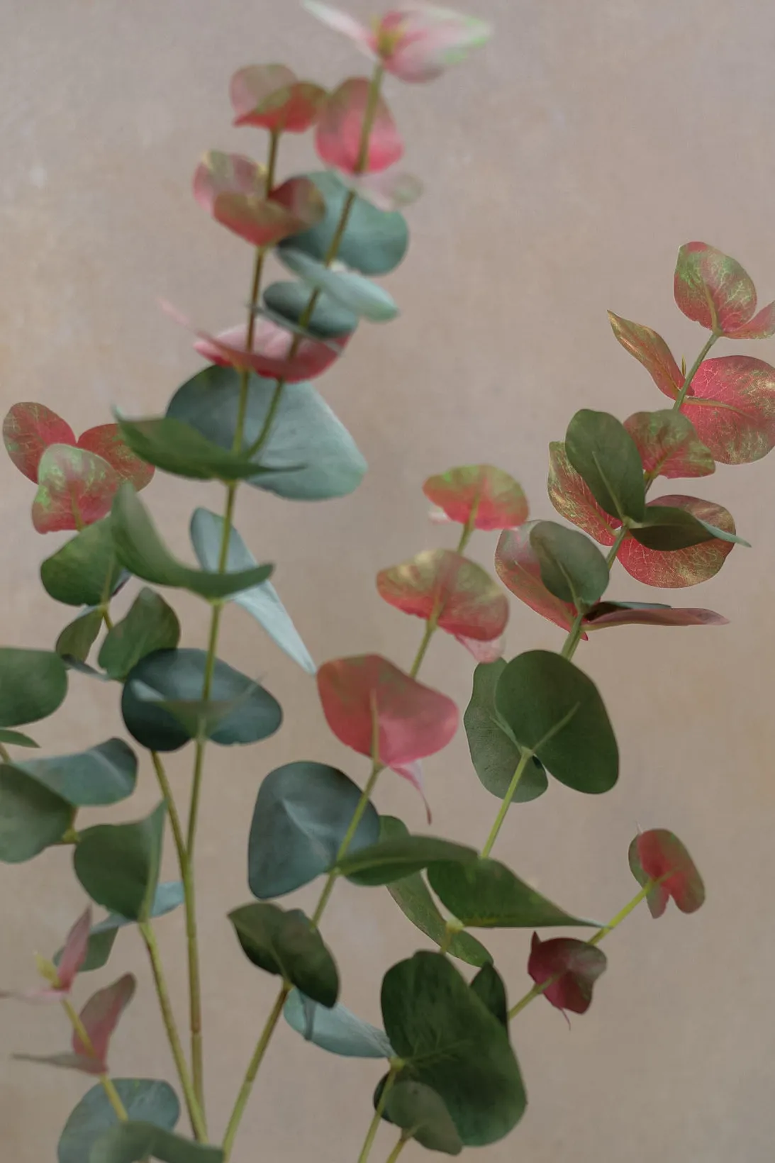 Faux Blush Eucalyptus Stem