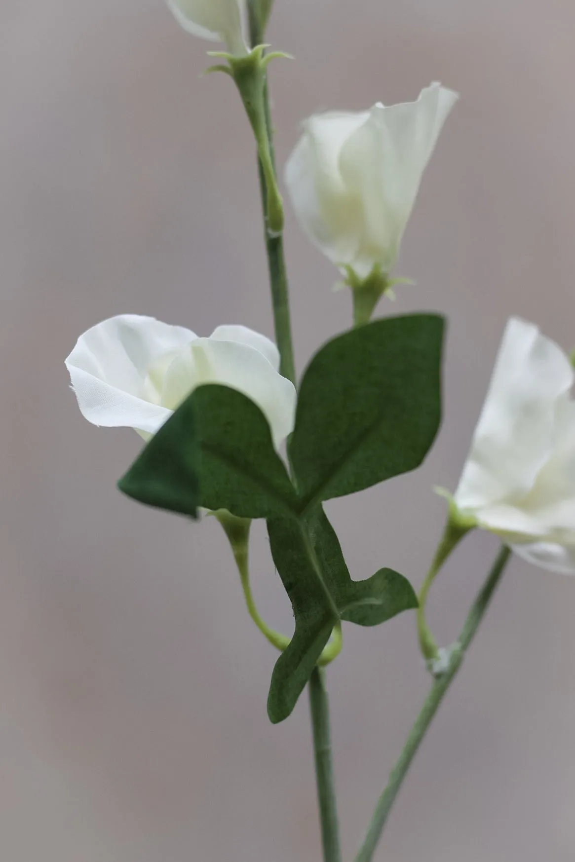 Faux Soft White Sweet Pea Stem