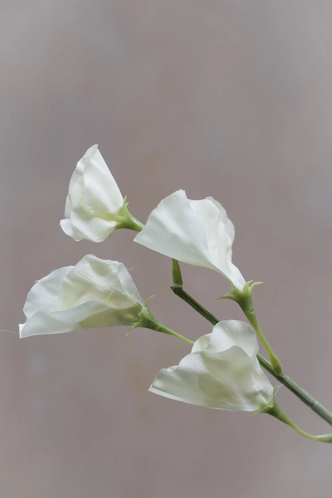 Faux Soft White Sweet Pea Stem