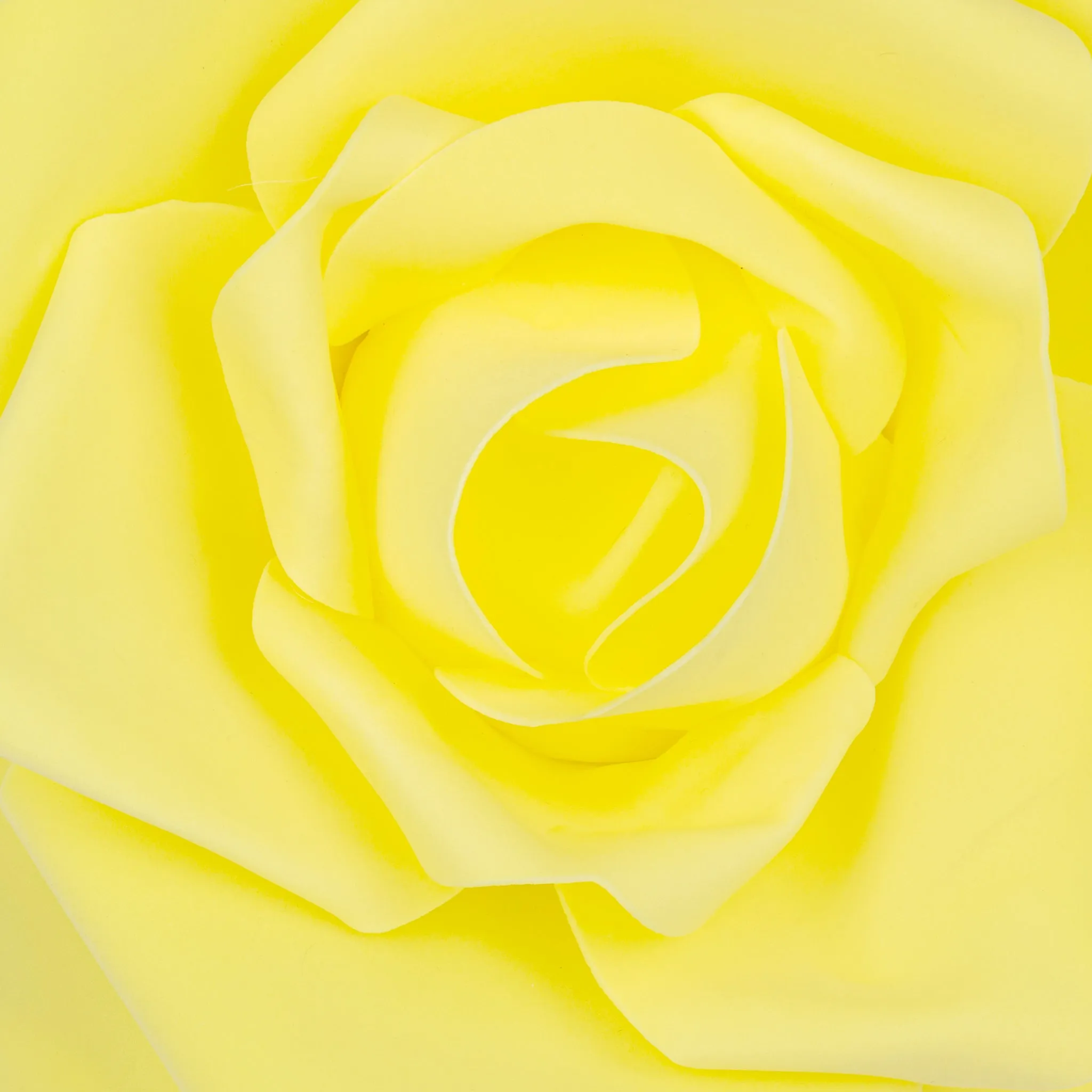 Large Foam Rose Wall  Decor 40 cm - Yellow