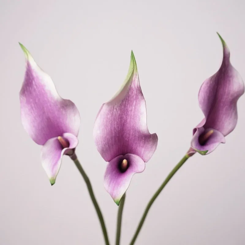 Premium Real Touch Double Calla Lily Stem