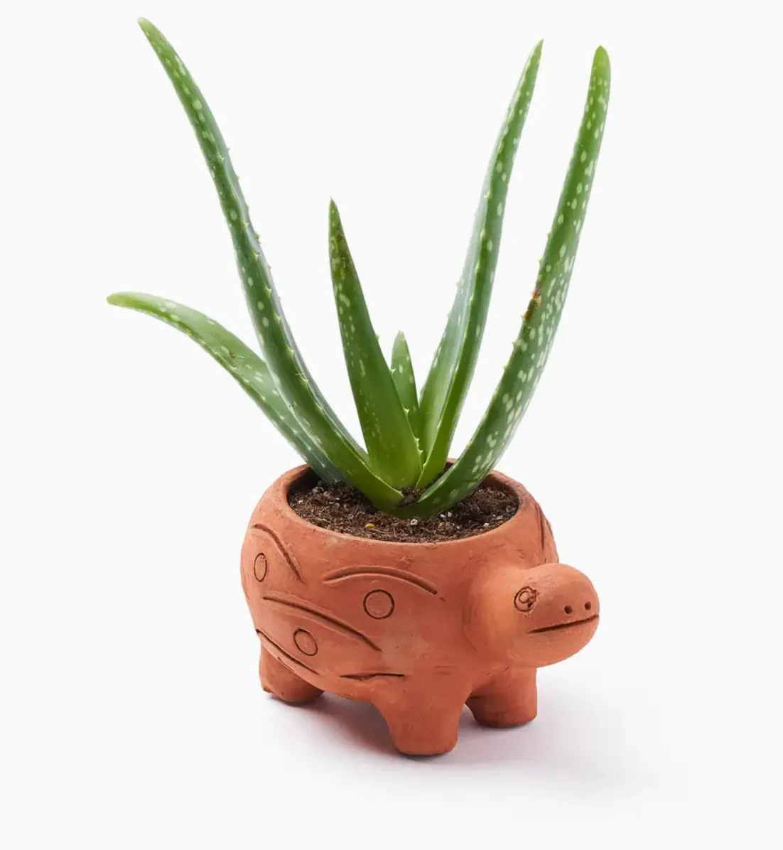 Rakshana Plant Pot - Terracotta