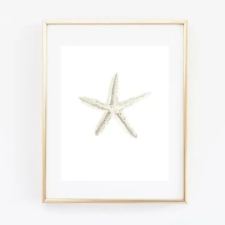 Starfish Art Print